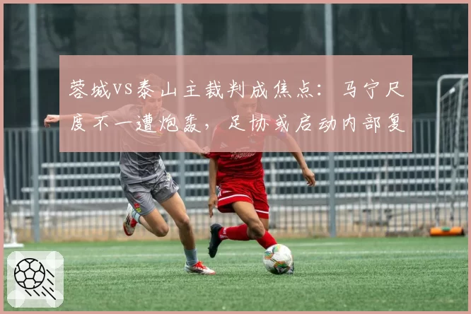 蓉城vs泰山主裁判成焦点:马宁尺度不一遭炮轰,足协或启动内部复盘